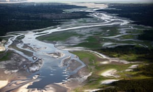 Aerial view of a drought-affected area within the Amazon Basin on November 5, 2010 in Manaus, Brazil.