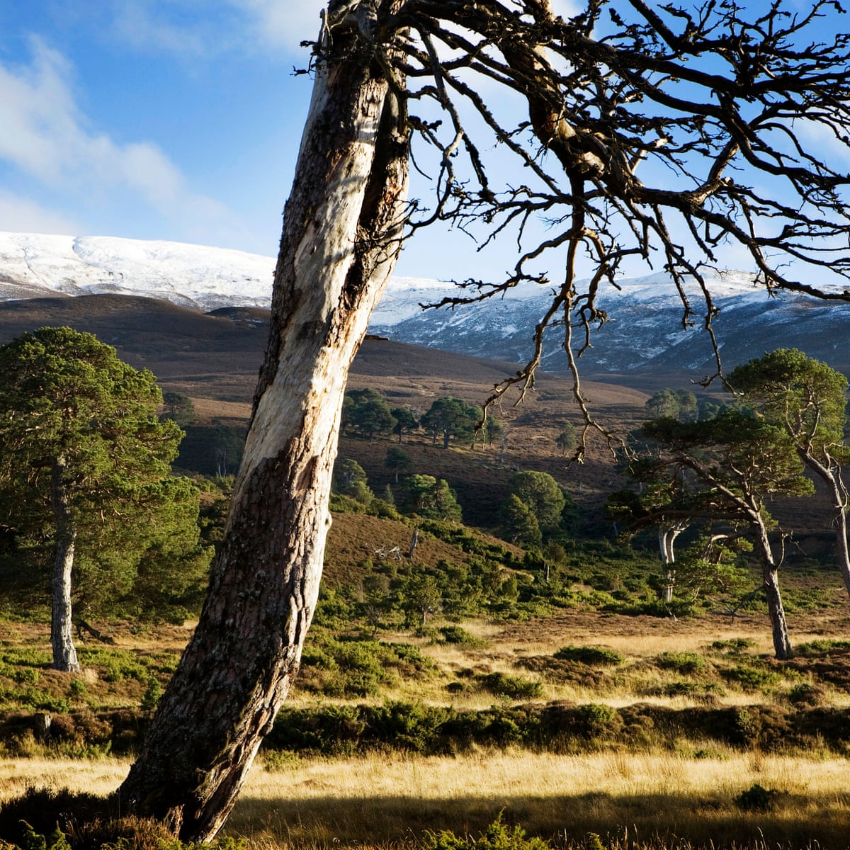 The end of farming? | Farming | The Guardian The end of farming? | Farming | The Guardian