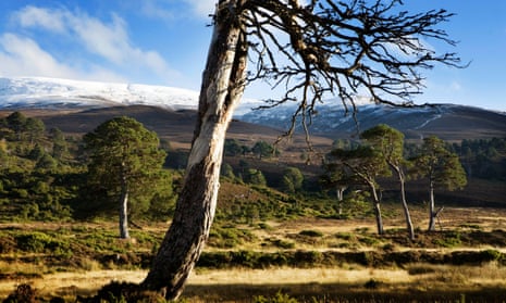 The stalking estate of Glenfeshie in the Cairngorms