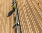 Britain's scorched fields mean a food crisis – and the government is ignoring the one measure that would help | George Monbiot