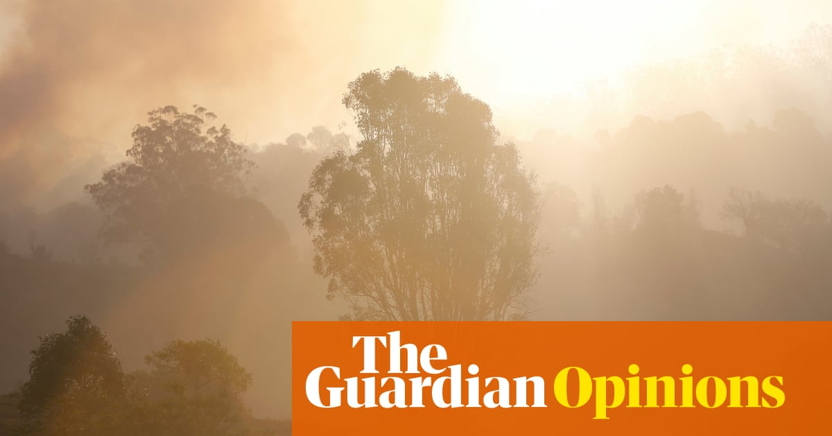 I never thought I'd see the Australian rainforest burning. What will it take for us to wake up to the climate crisis? | Joëlle Gergis