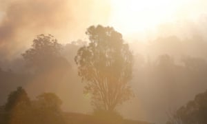 Bushfire on the Gold Coast