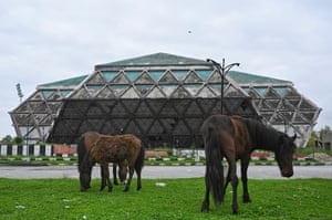 Horses graze at a field in front of an indoor stadium which was turned into a quarantine centre in Srinagar in the state of Jammu and Kashmir on 20 April.