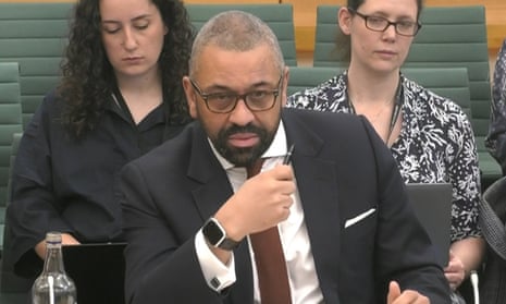 James Cleverly at the home affairs select committee
