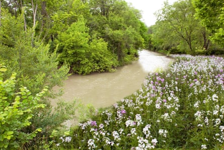 Don River in spring, Toronto, Ont.