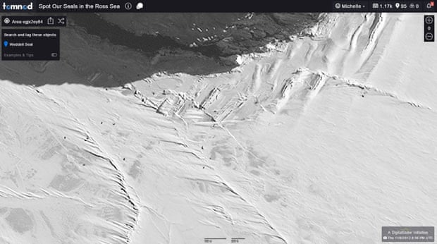 Image from space of ice sheet with tiny black dots