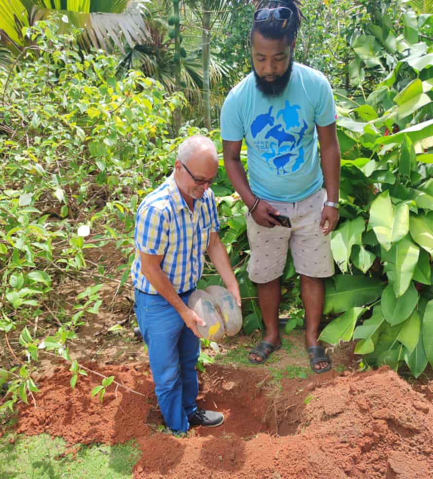 Alix Esparon plants a coco de mer seed on his Mahe property, with Ronny Rose from Seychelles Islands Foundation, in October 2020.