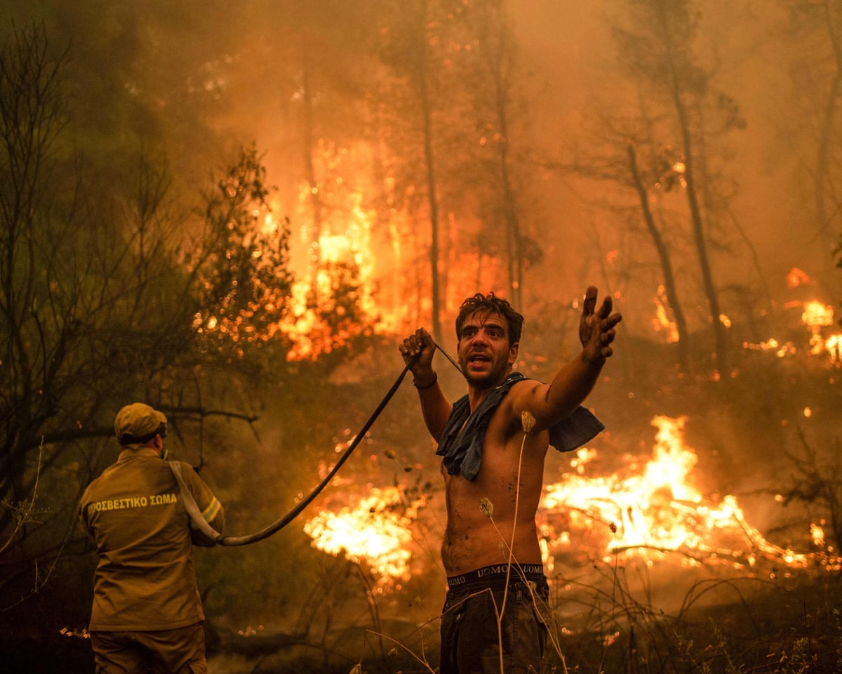 What is a 'super El Niño' and what might it mean for the global climate? | Environment | The Guardian