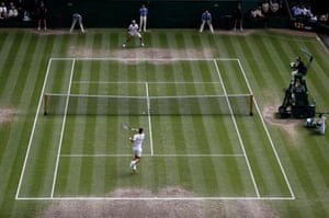 novak
