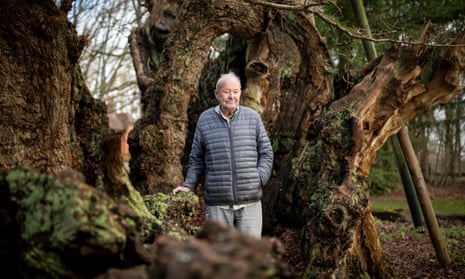 Ted Green, photographed in Windsor Great Park next to the ancient King Offa's oak, which is thought to be over 1,000 years old.