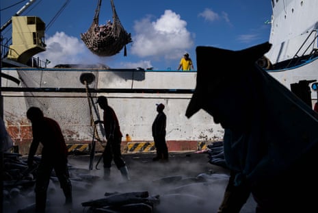 Workers unload fish from the boat before transporting to a fish market on July 13, 2016 in Kaohsiung, Taiwan. 