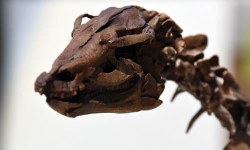 Two-legged dinosaurs may have swung tails to run faster, say scientists, Dinosaurs