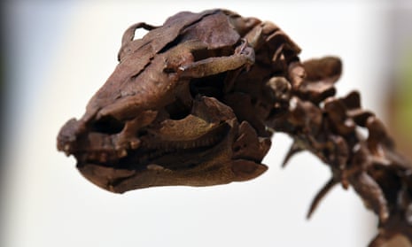 A Thescelosaurus neglectus.