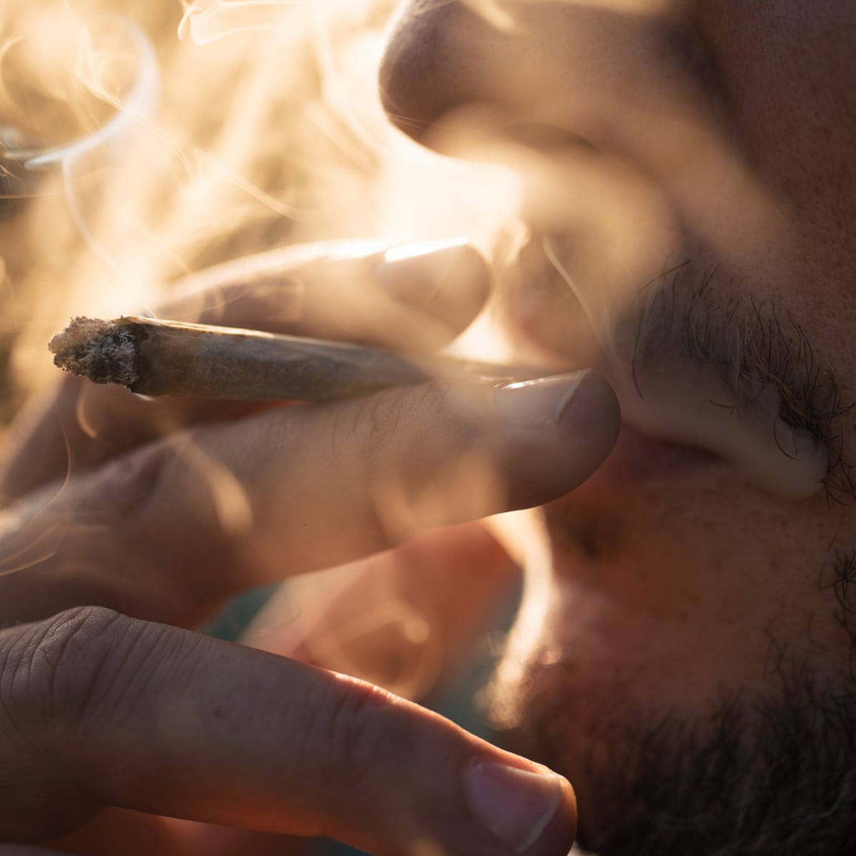 tobacco on a plane Can You Take Cigars on a Plane? TSA Cigar Rules (2023) tobacco on a plane Can You Take Cigars on a Plane? TSA Cigar Rules (2023)