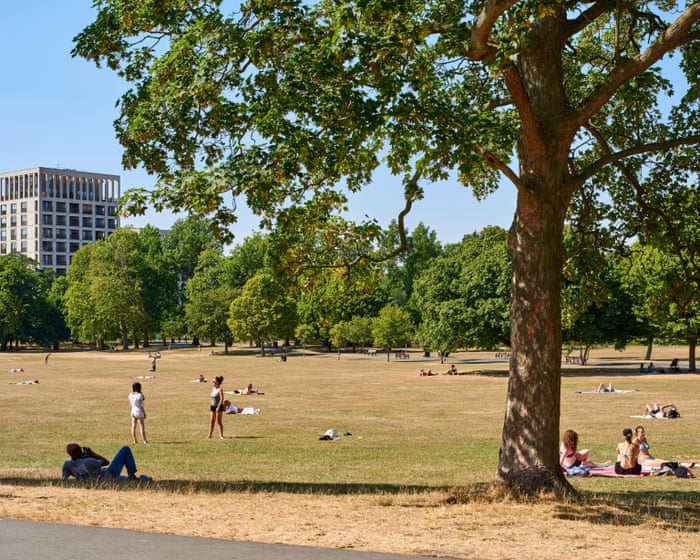 Access-to-nature crisis ‘on par with that of Victorian Britain’s filthy air’