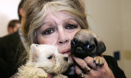 Bardot poses 28 December 2005 in Nice, with two puppies