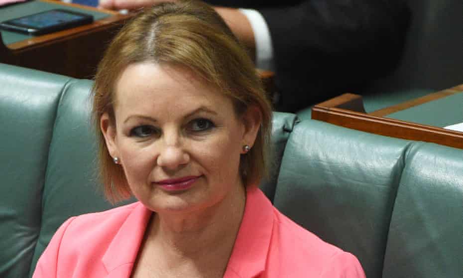 The federal health minister, Sussan Ley, announced the government’s plans for ‘healthcare homes’ on Thursday. 