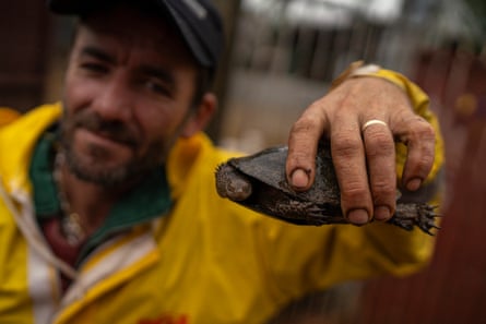 A man in a yellow waterproof jacket holds a small and muddy tortoise towards the camera.