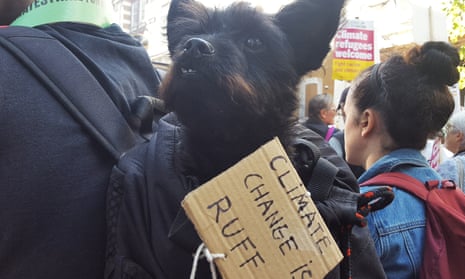 Rico is barking mad about the climate crisis in London.