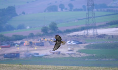 A bird of prey flies past electricity pylons being removed near Winterbourne, in the Dorset AONB.