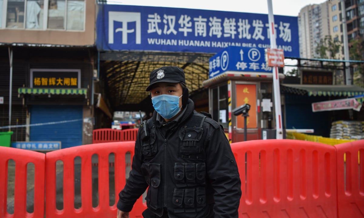Calls for global ban on wild animal markets amid coronavirus outbreak | Coronavirus | The Guardian