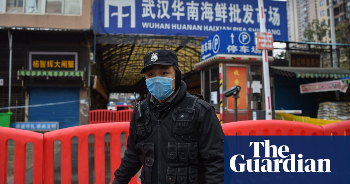 ‘Tit for tat’: why hunt for Covid’s origins still mired in politics and controversy