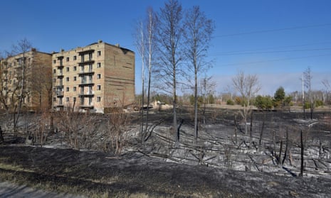 Burned trees in Poliske, one of the abandoned settlements in the Chernobyl exclusion zone.