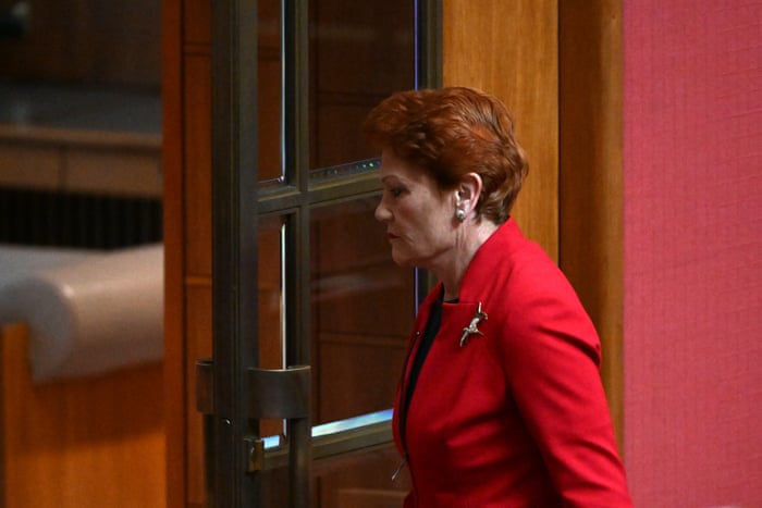 Pauline Hanson leaving the Senate