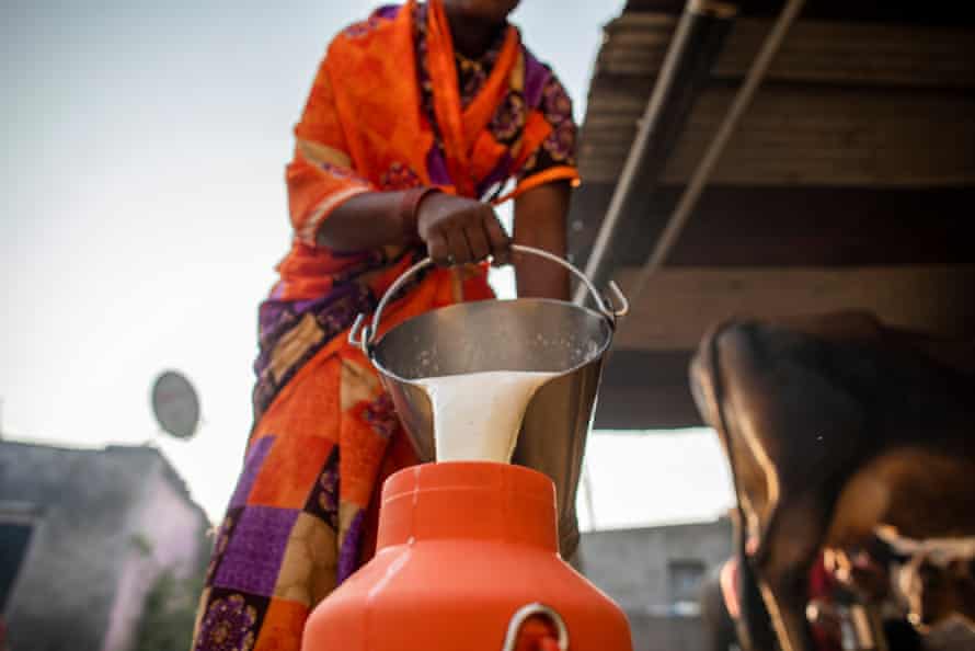 Dairy farmers prepare milk to deposit at Lakshmi Dairy in Karajgaon, Latur District, October 2020