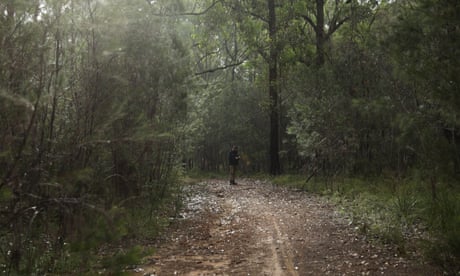 Cumberland Plain woodland