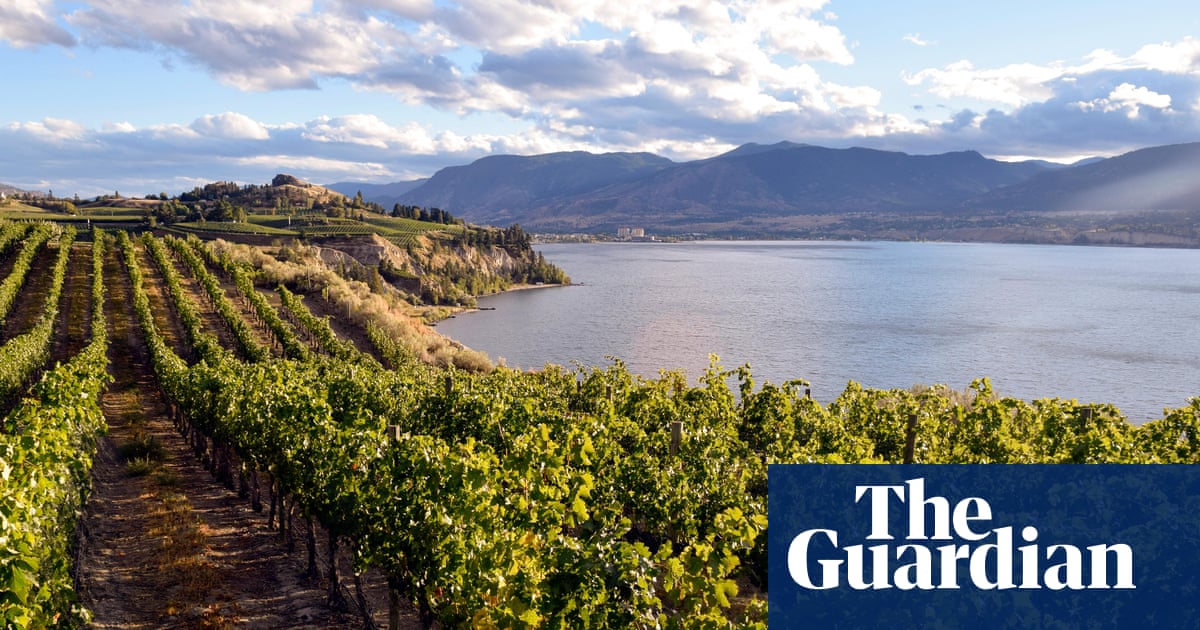 A Wine Tour Of Canada S Beautiful Okanagan Valley Travel The Guardian