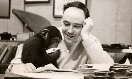 Desmond Morris with the chimpanzee Congo