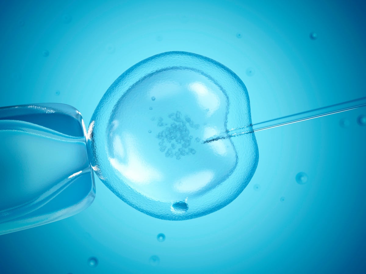 Couples Being Denied Ivf On Nhs Over Man S Age Or Weight