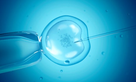An IVF fertilisation treatment