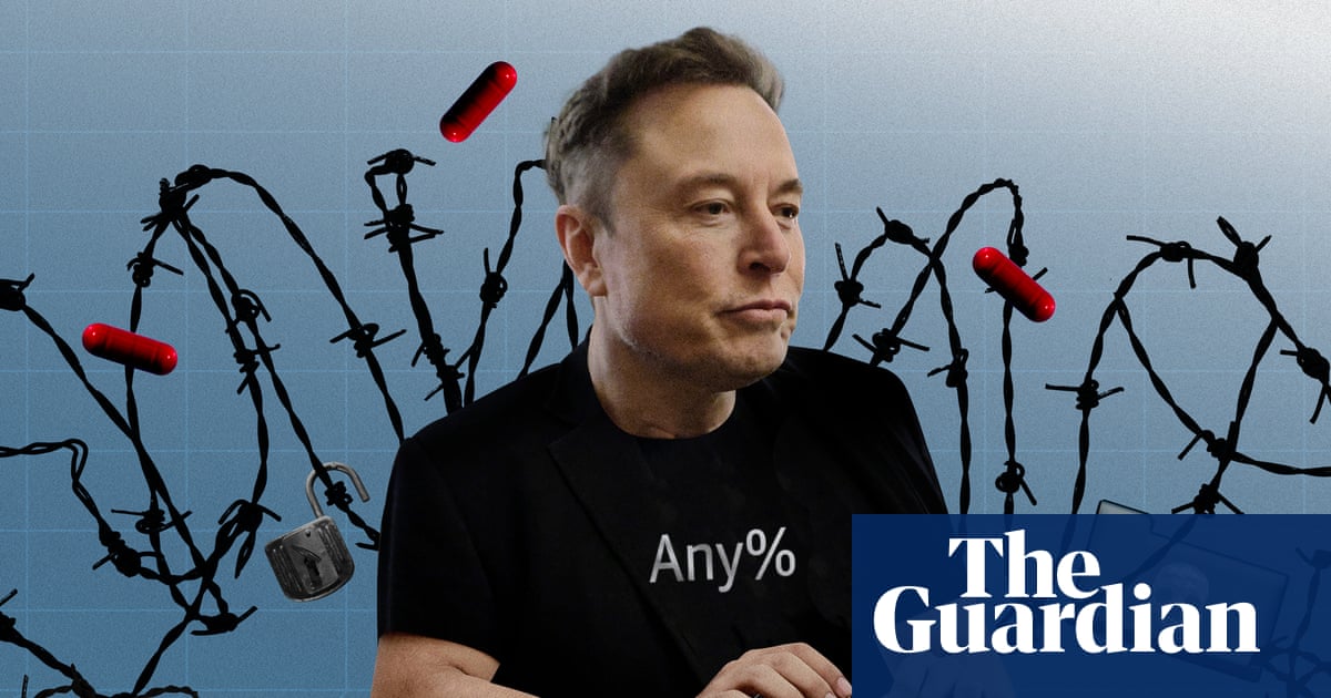 What was Doge? How Elon Musk tried to gamify government