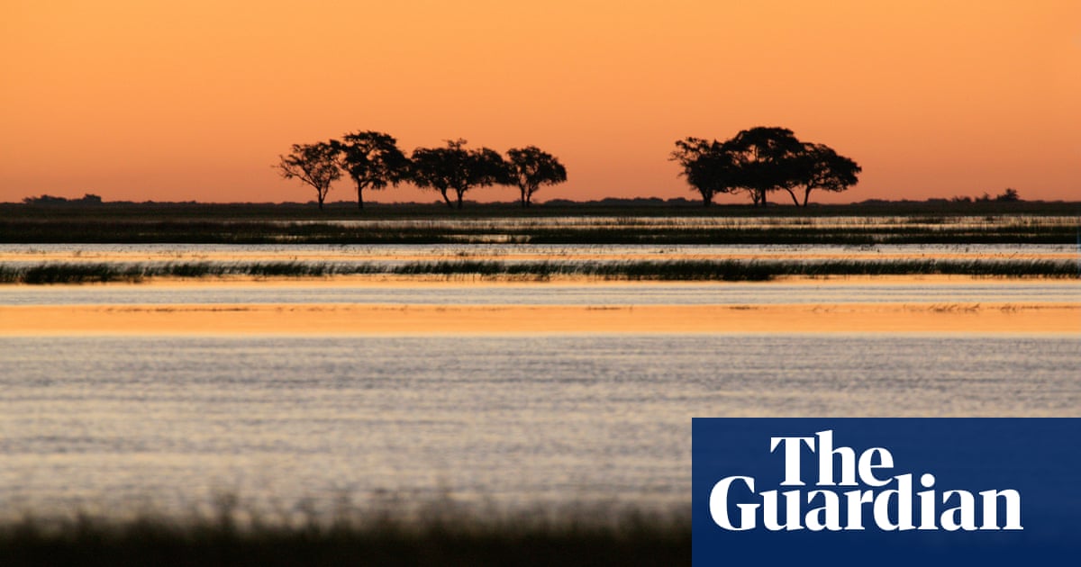 Ancestral home of modern humans is in Botswana, study finds | Science | The Guardian