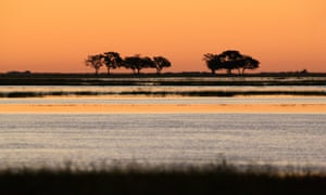 Zambezi River in Botswana 5200.jpg?width=300&quality=85&auto=forma