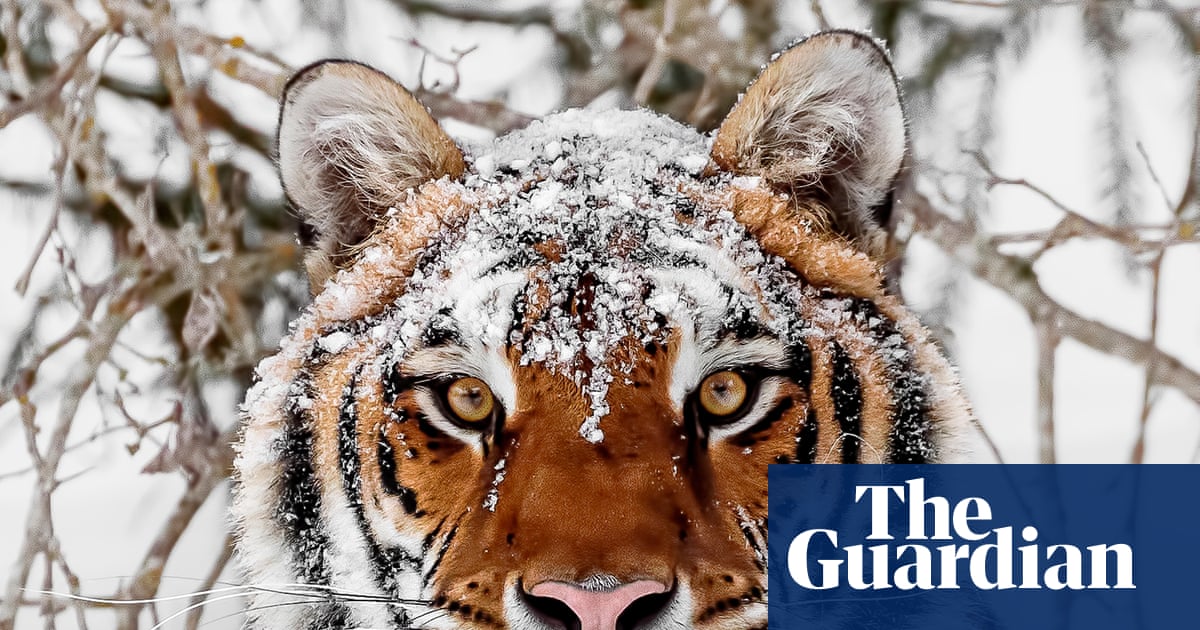 World must change way it produces food to avoid biodiversity collapse, says WWF