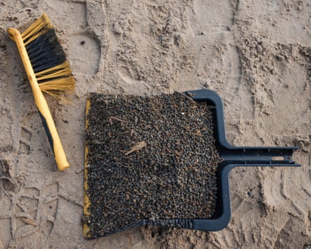A dustpan and brush filled with black plastic beads on the sand