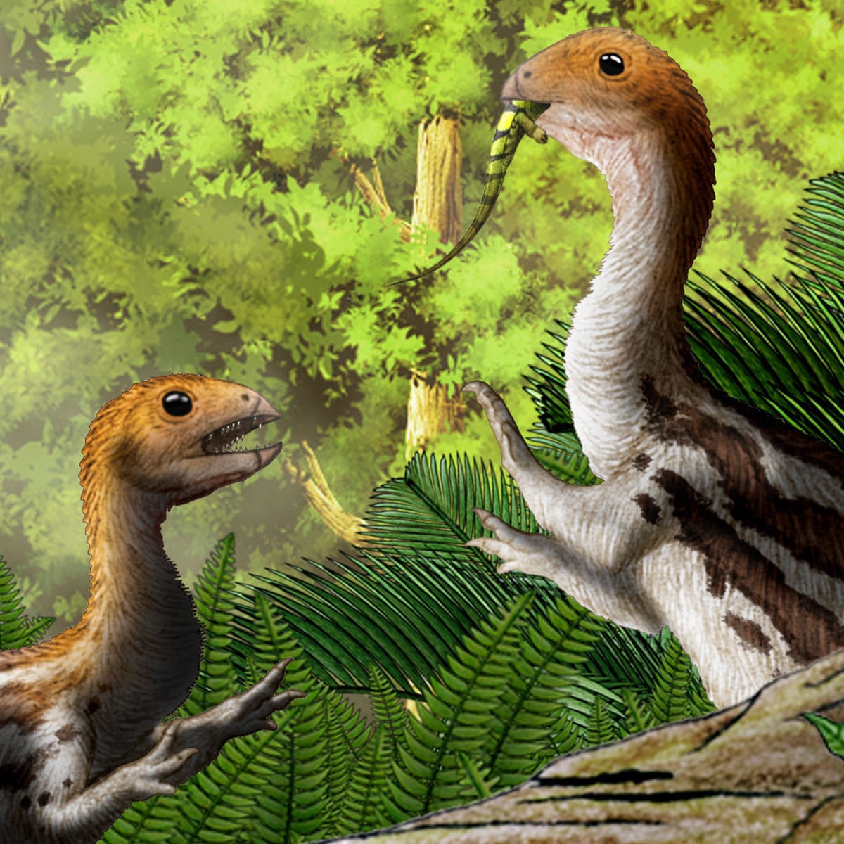 Pecking order: toothless dinosaur points way to evolution of the beak |  Dinosaurs | The Guardian