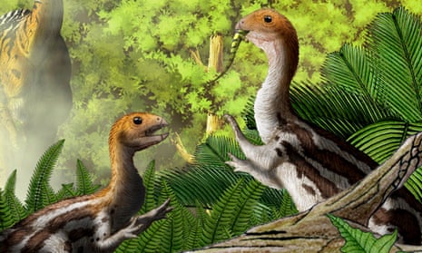 Limusaurus, which lived 160 million years ago, it hatched from its egg equipped with rows of small, sharp teeth. But as the creature matured into an adult all its teeth fell out, leaving only a beak-like set of jaws, a study has found. 