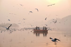 Birds over a smoky lake