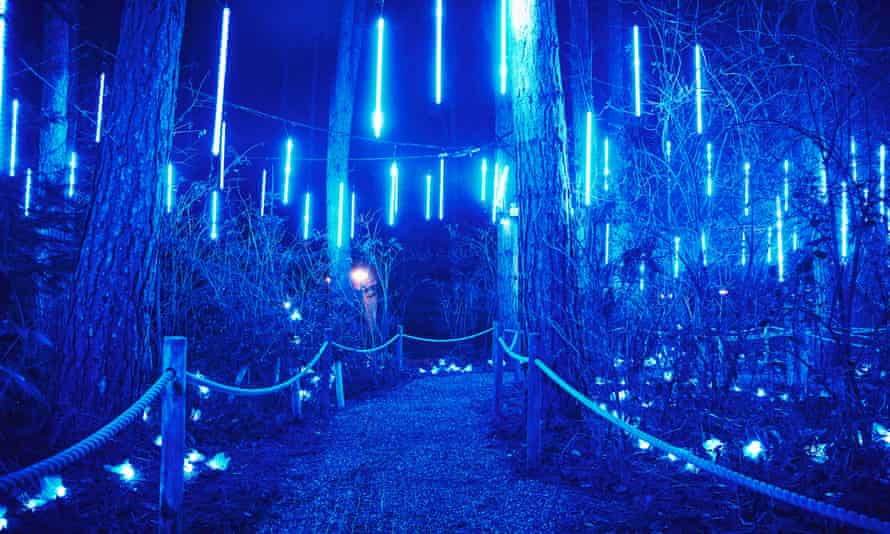 Center Parcs Enchanted Light Trail 3