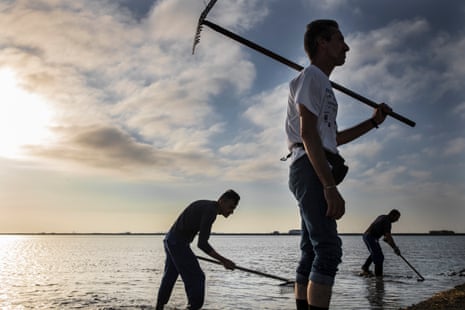 Three men stand in shallow water holding rakes