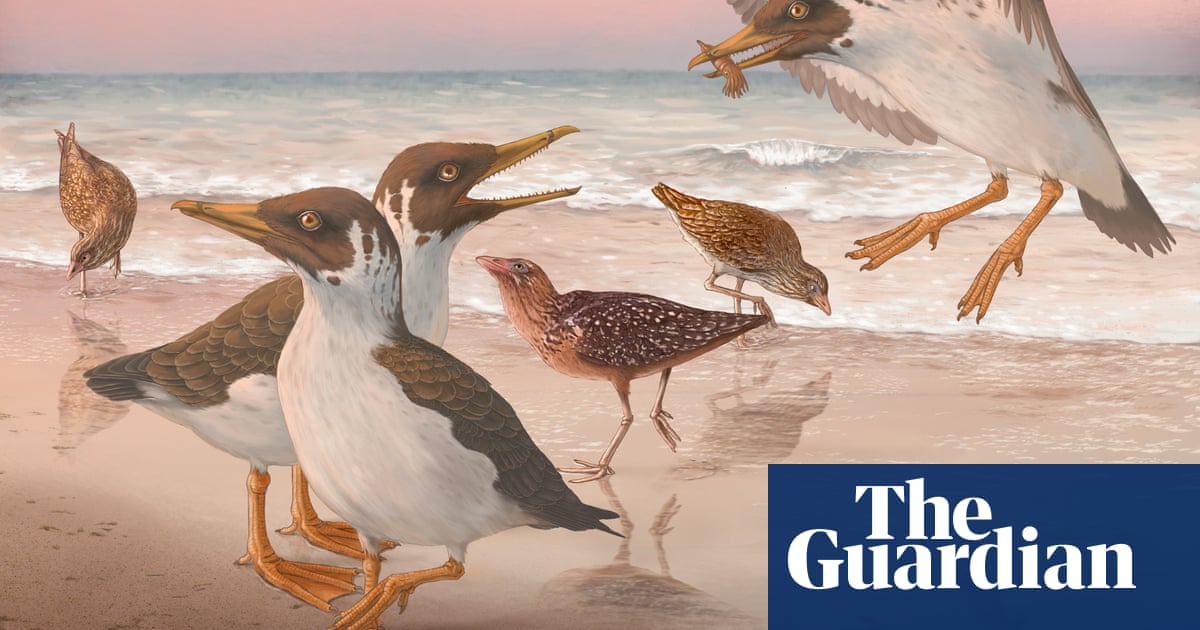 CT scans of toothed bird fossil leads to jaw-dropping discovery - The Guardian