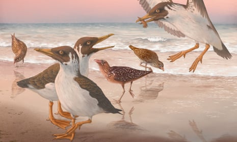 An artist’s impression of the last known toothed bird, Janavis finalidens, surrounded by ‘wonderchickens’.