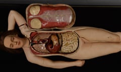 LIFE SIZED ANATOMICAL VENUS FROM SPINTZNER'S 19th CENTURY COLLECTION