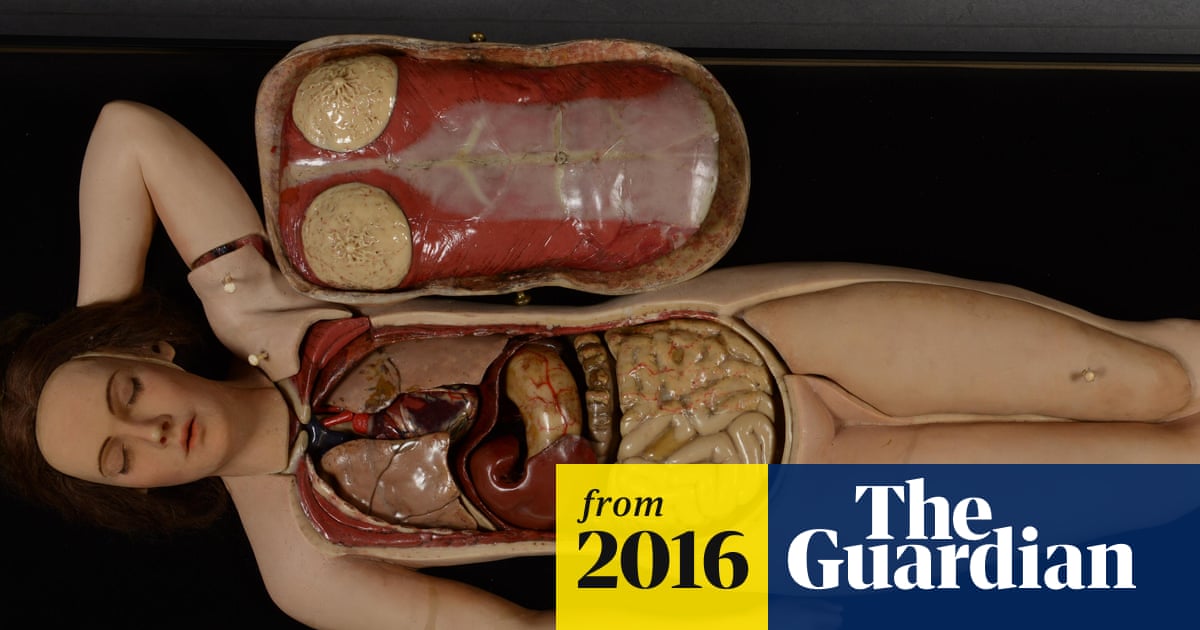 Cadavers in pearls: meet the Anatomical Venus | Art | The Guardian Cadavers in pearls: meet the Anatomical Venus | Art | The Guardian
