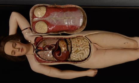 Body of evidence … the Anatomical Venus.