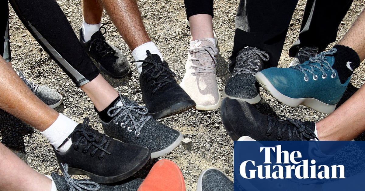 ‘From high flyer to dead parrot’: former billion-dollar eco-shoe brand Allbirds sold for $39m